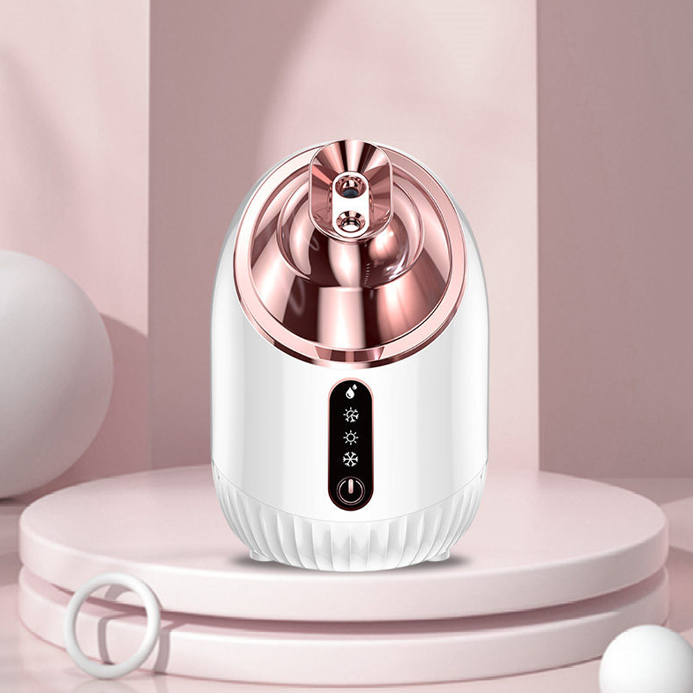 Face Steamer - Vaporisateur facial à vapeur froide et